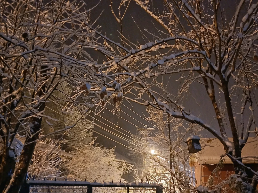 Ayçiçeği tarafından yüklenen görsel