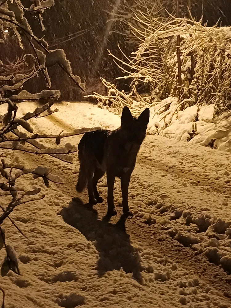 Ayçiçeği tarafından yüklenen görsel