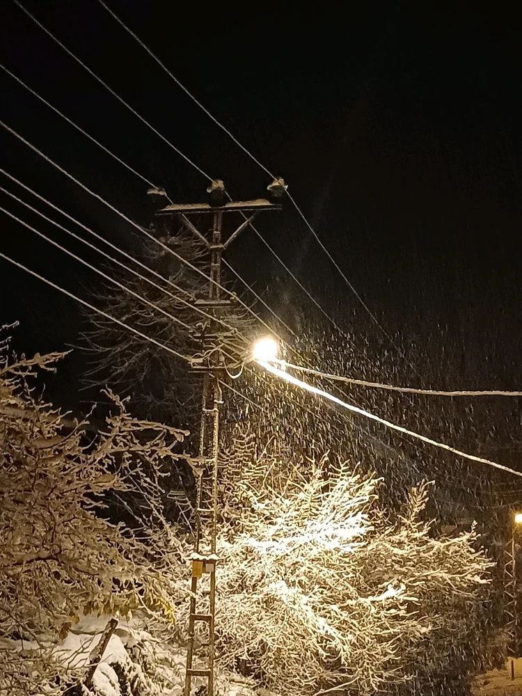 Ayçiçeği tarafından yüklenen görsel
