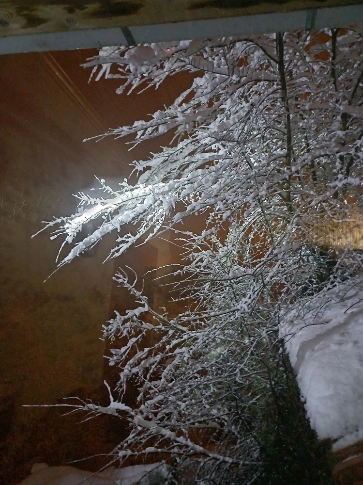 Ayçiçeği tarafından yüklenen görsel