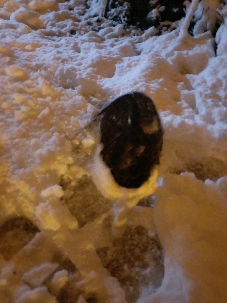 Ayçiçeği tarafından yüklenen görsel