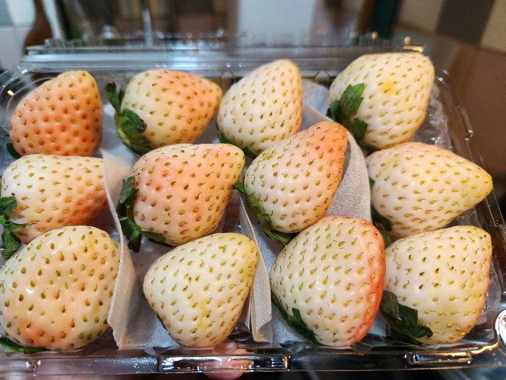 Image uploaded by 🔆🥨🔅Koffy🔅🌰🔆