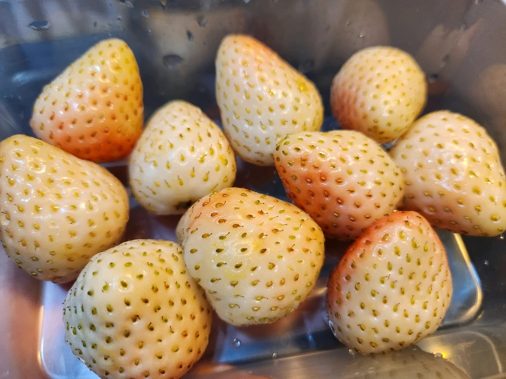 Image uploaded by 🔆🥨🔅Koffy🔅🌰🔆