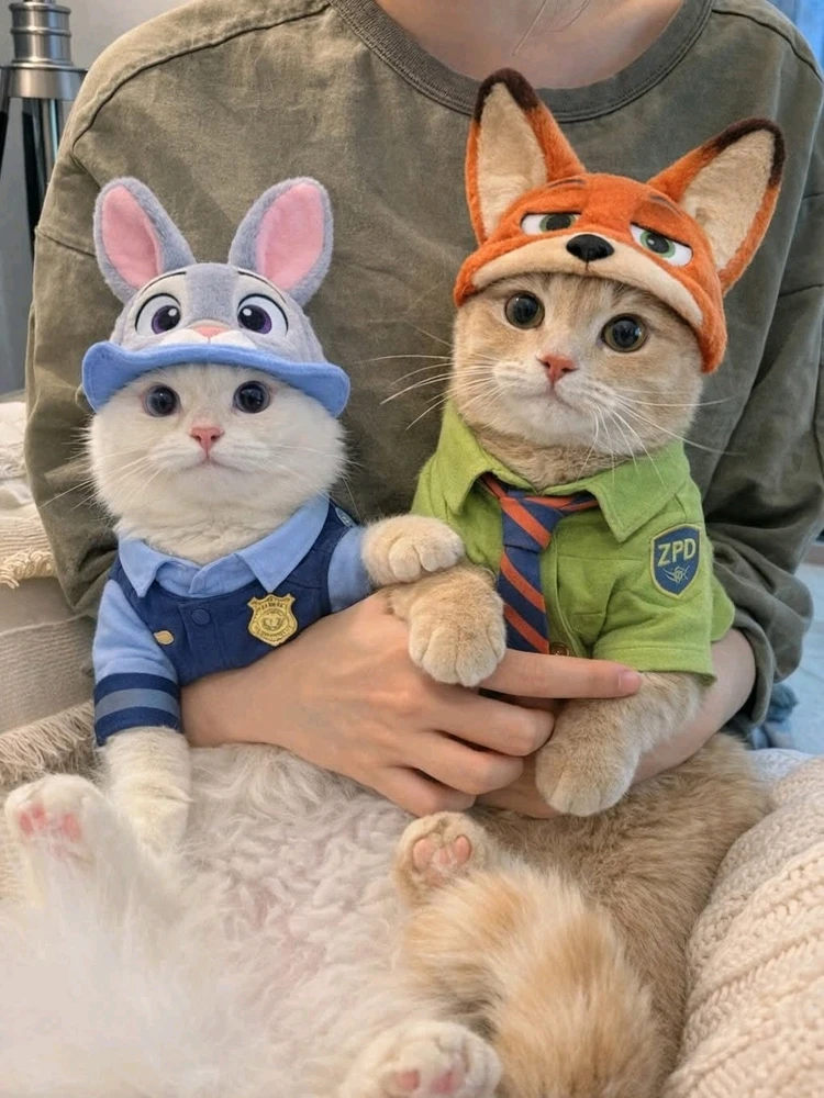 GIF uploaded by A - - Kash