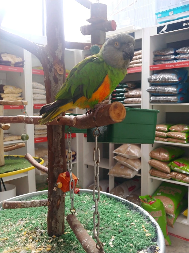 GIF diunggah dening Sandz