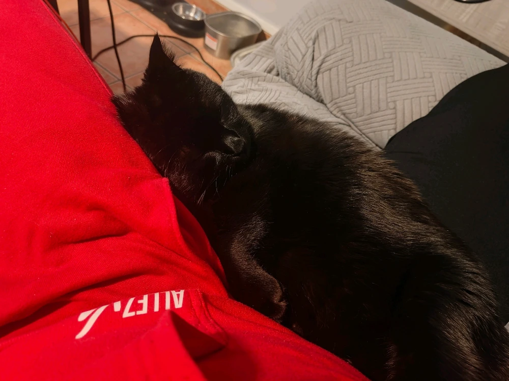 GIF ajouté par Nighty