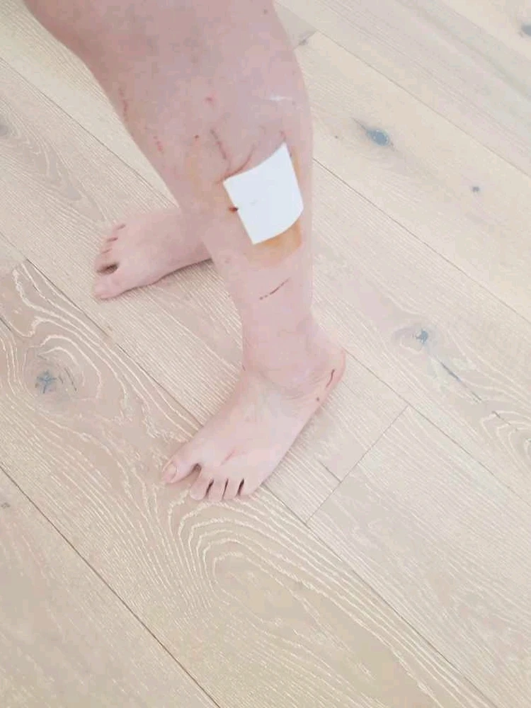 Gambar diunggah dening Sarah