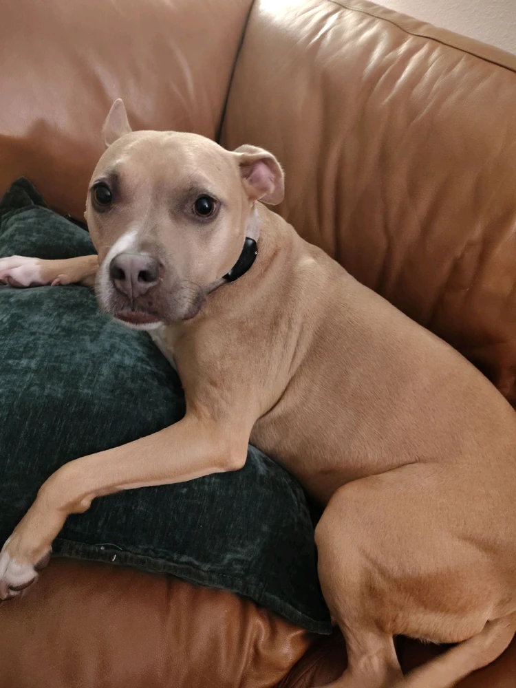 Image uploaded by Alex