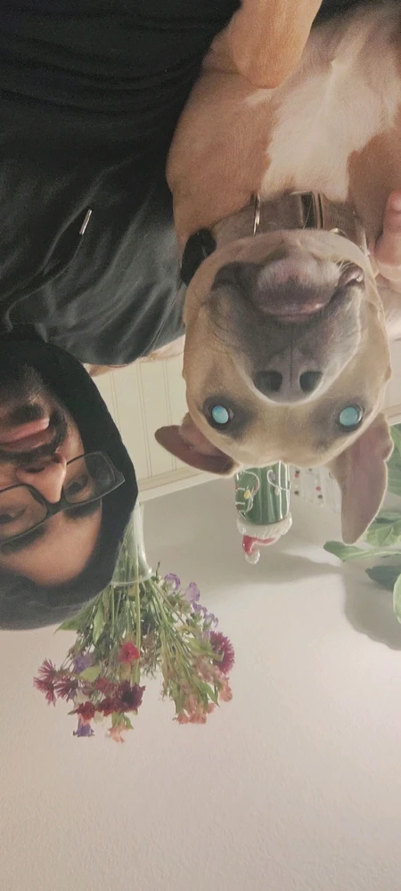 Image uploaded by Alex