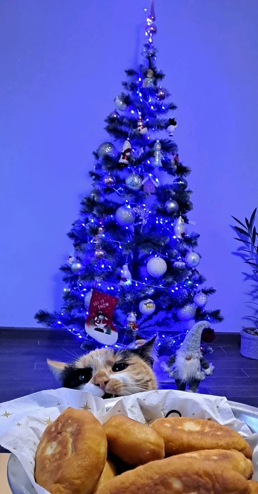 Гіфку завантажив Viktoriia