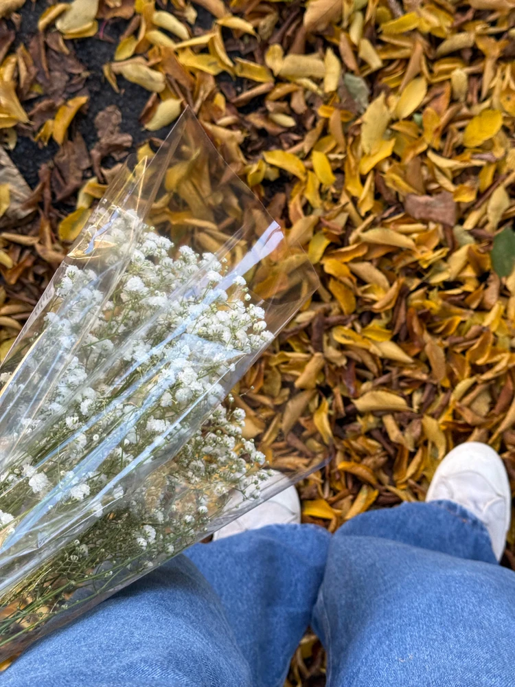 Image uploaded by Veera