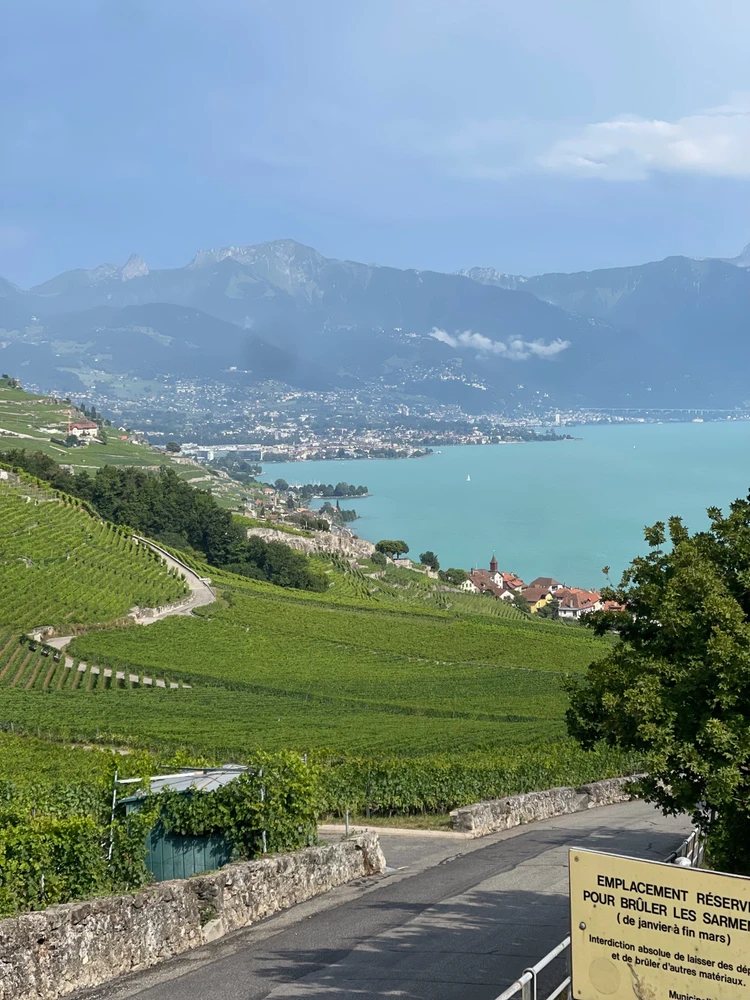 Image uploaded by Ali