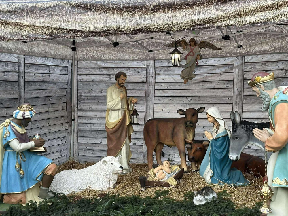 Obrázek nahrál Soni