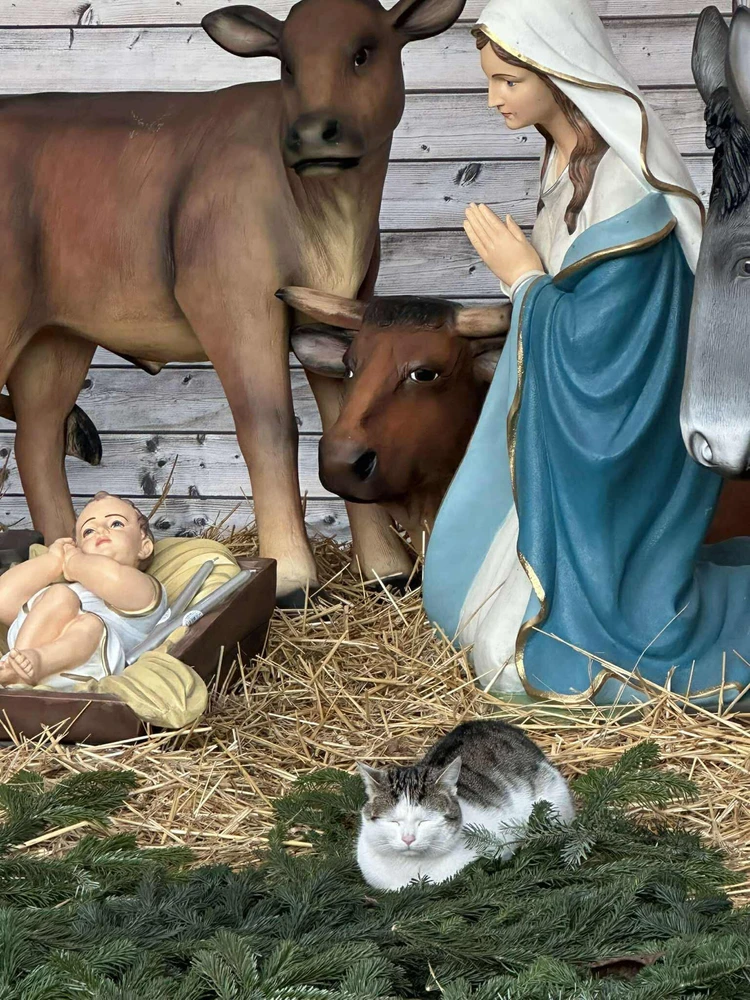 Obrázek nahrál Soni