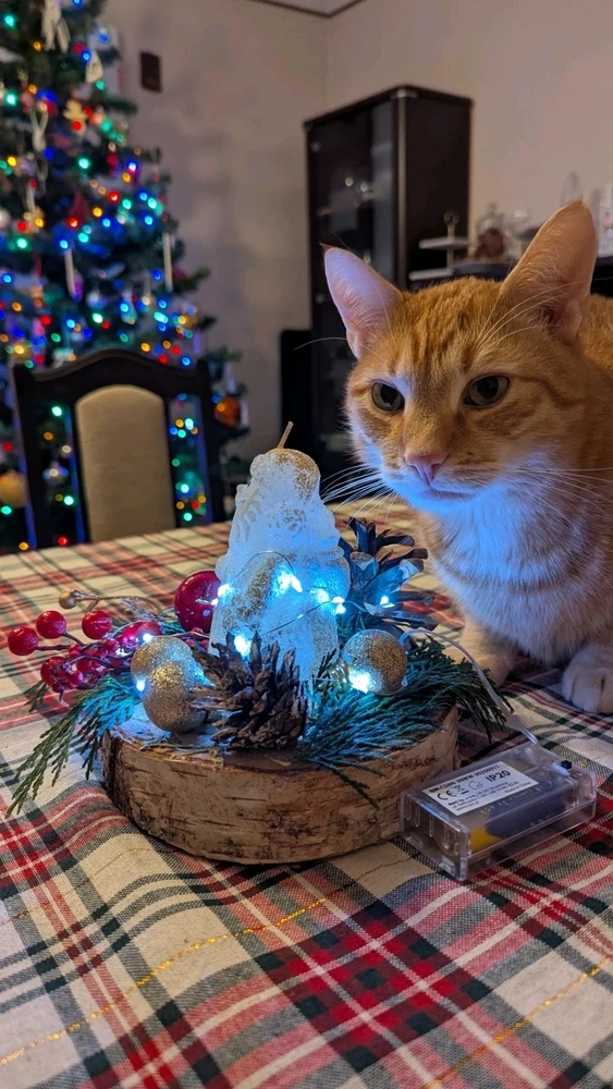 GIF dodany przez Różnooki