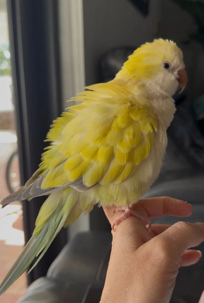 GIF diunggah dening Alexa