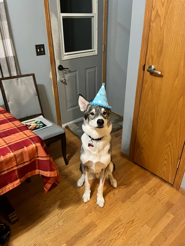 Image uploaded by Brad