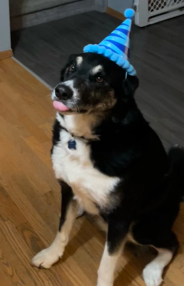 Image uploaded by Brad