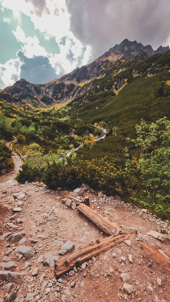 GIF uploaded by Lena