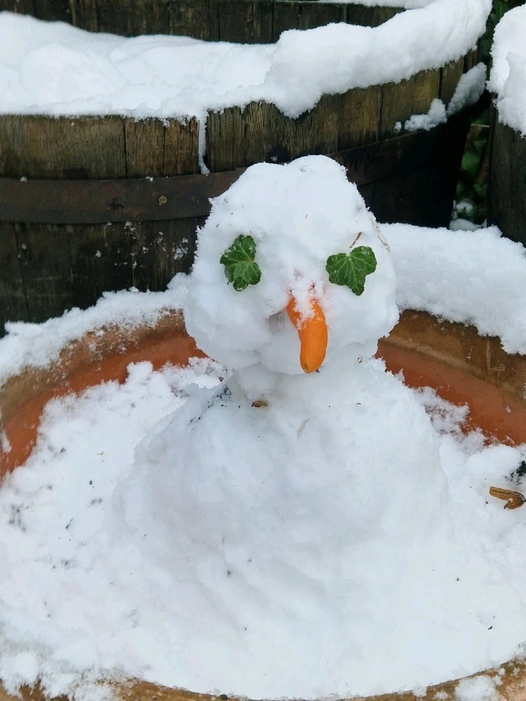 GIF hochgeladen von Lubo