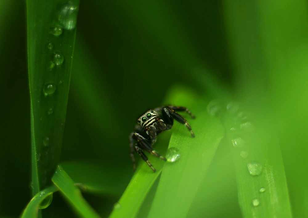 GIF dodany przez Różnooki