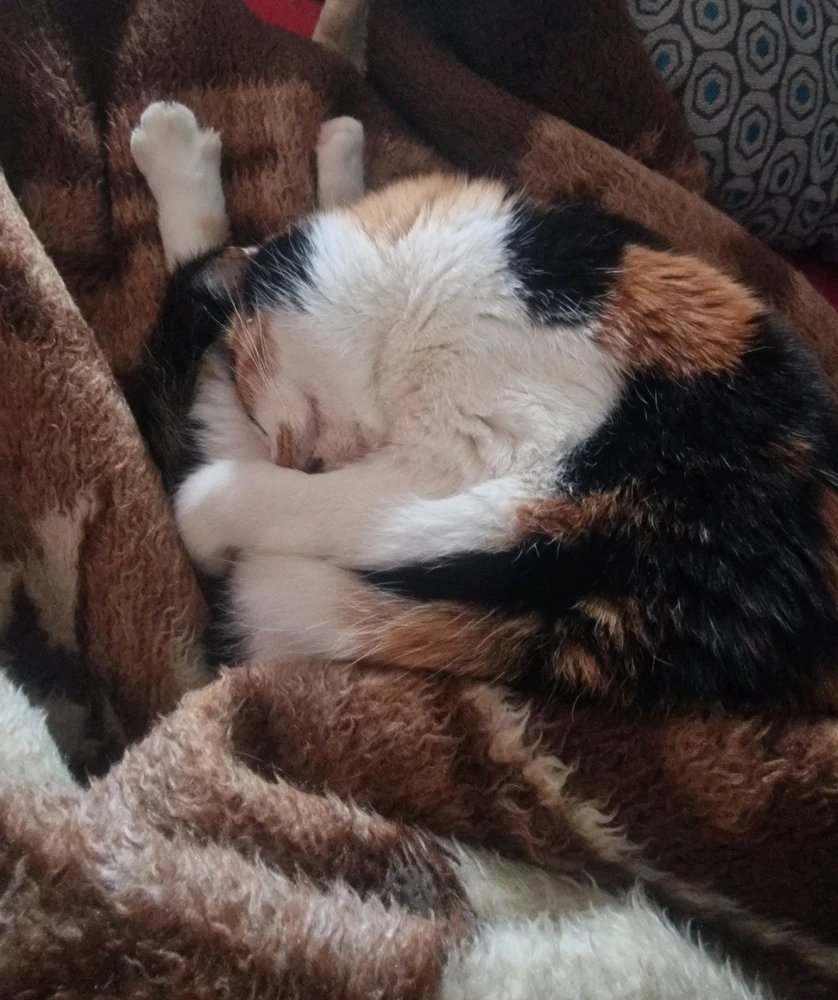 GIF hochgeladen von Jay