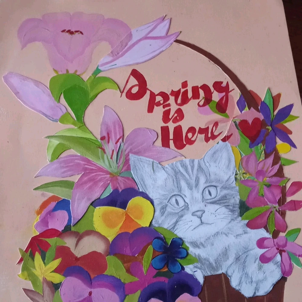 Image uploaded by Sol