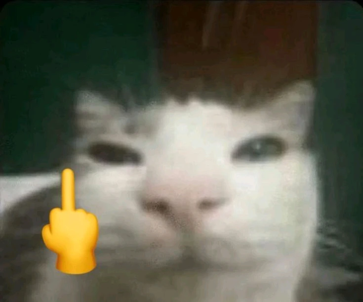 Image uploaded by Bryant