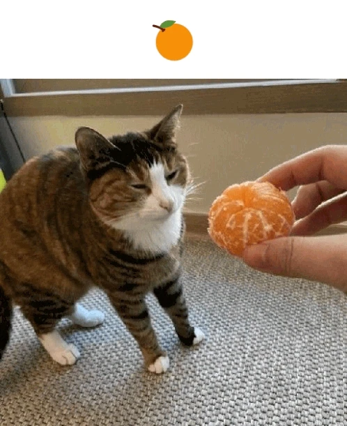 Image uploaded by Bryant