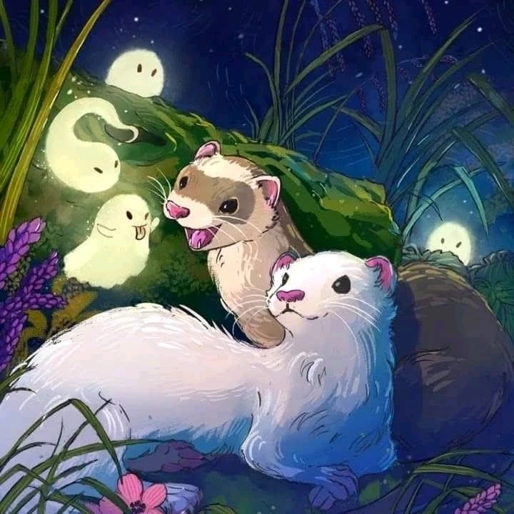 GIF ajouté par Mickaël