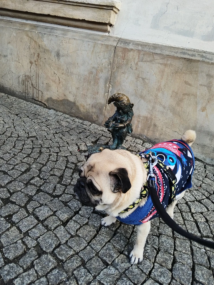 Afbeelding geüpload door Paulina