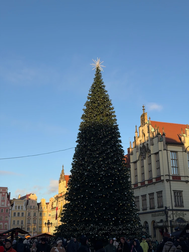 Afbeelding geüpload door Paulina