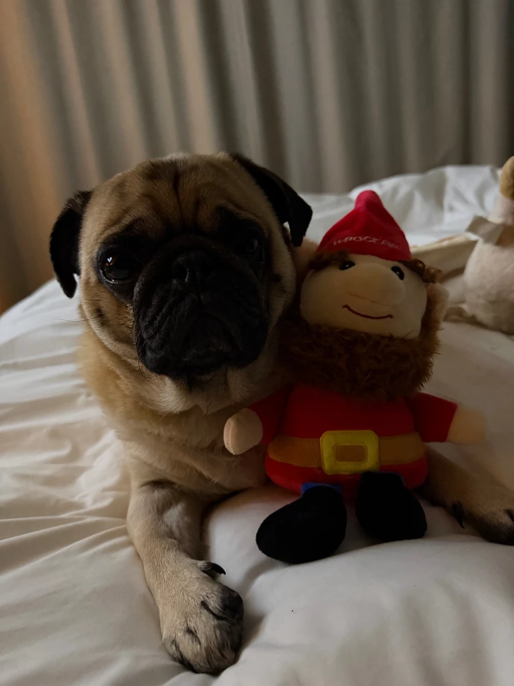 Afbeelding geüpload door Paulina