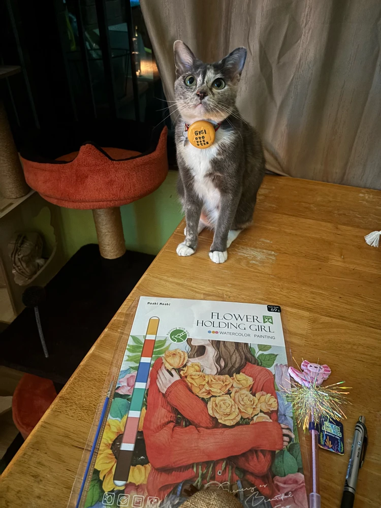 GIF uploaded by Pat♡