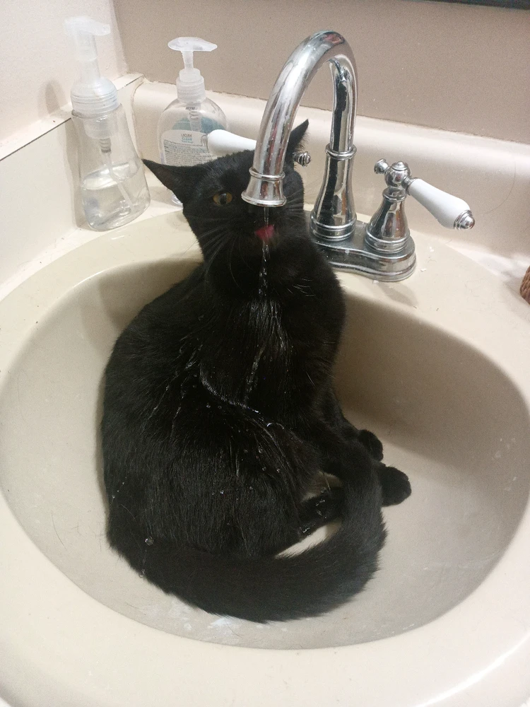 GIF uploaded by Tony