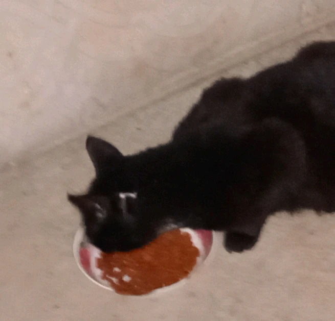 Imagen subida por Belen Between Better