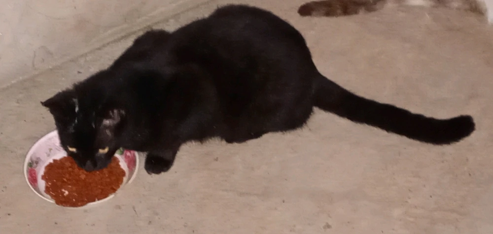 Imagen subida por Belen Between Better