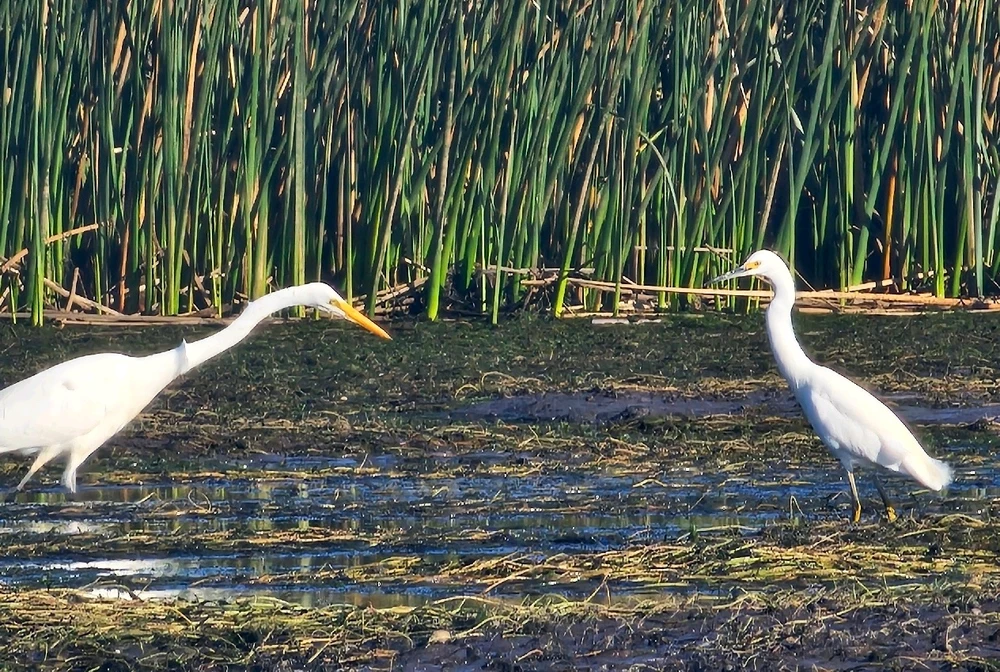 GIF subido por Natalia