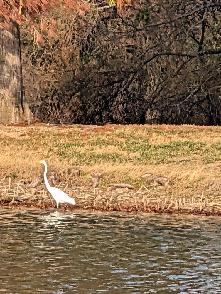 Image uploaded by Raven