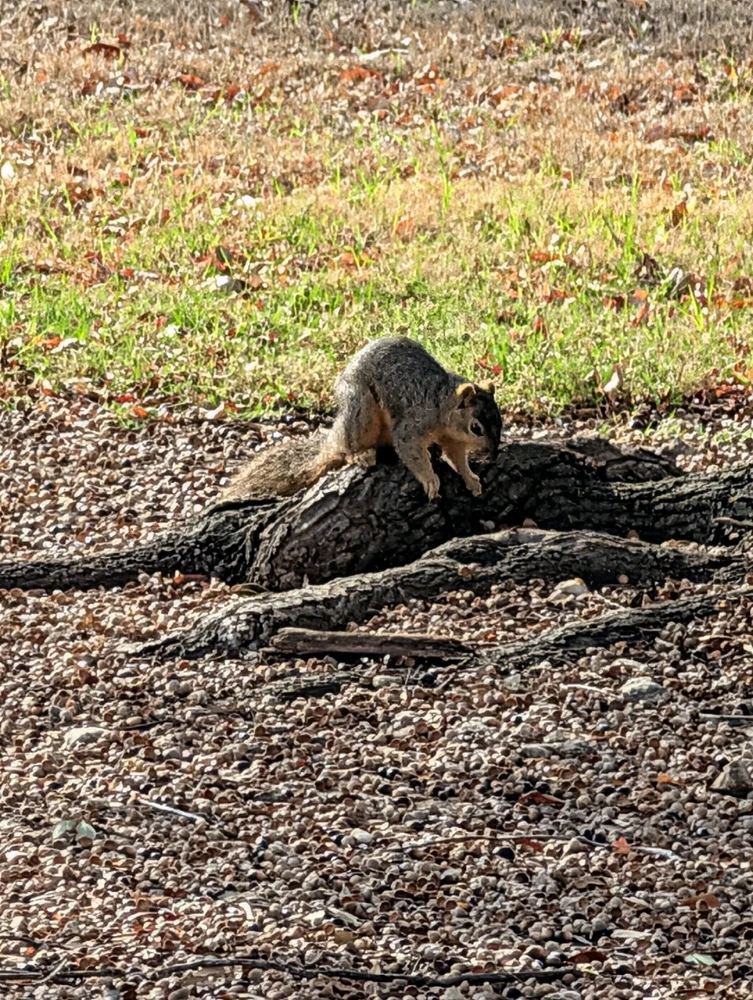 Image uploaded by Raven