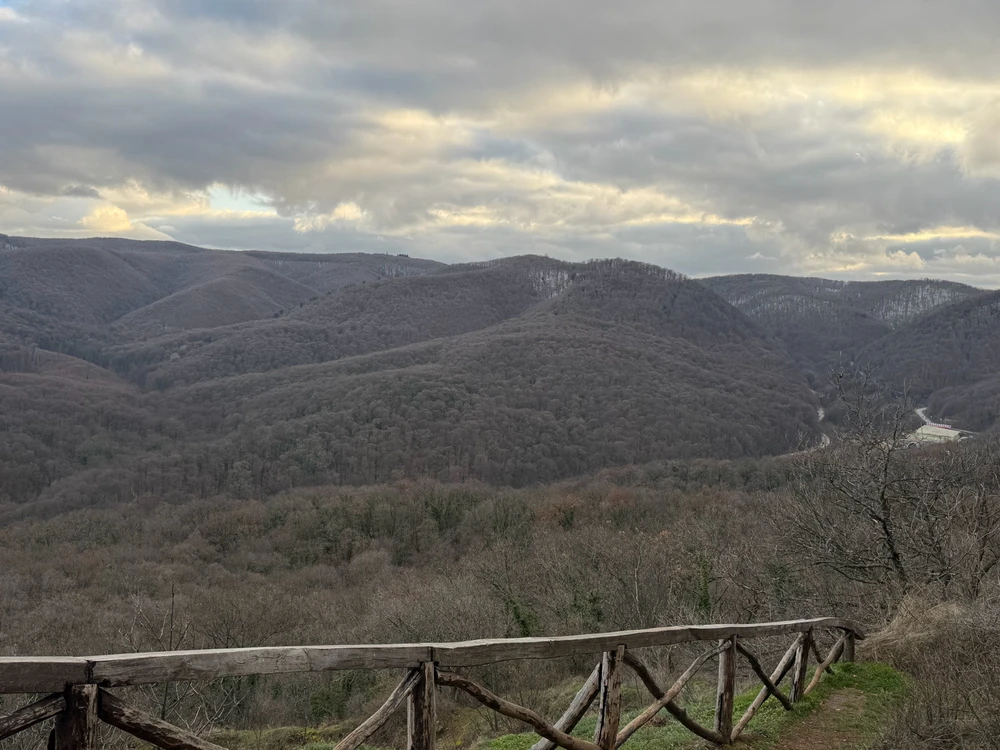 Sliku je postavio/la Ivan