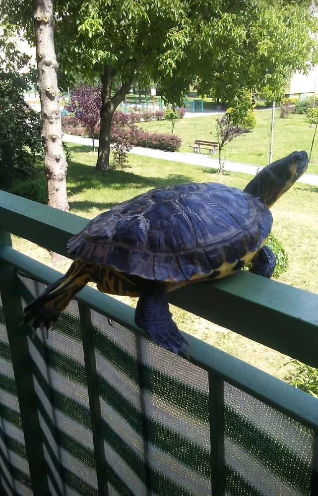 GIF dodany przez Grzesiek