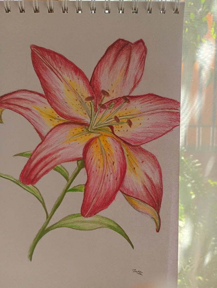 GIF subido por Nitta