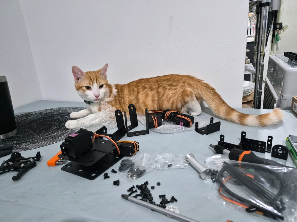 Imagen subida por Carlos