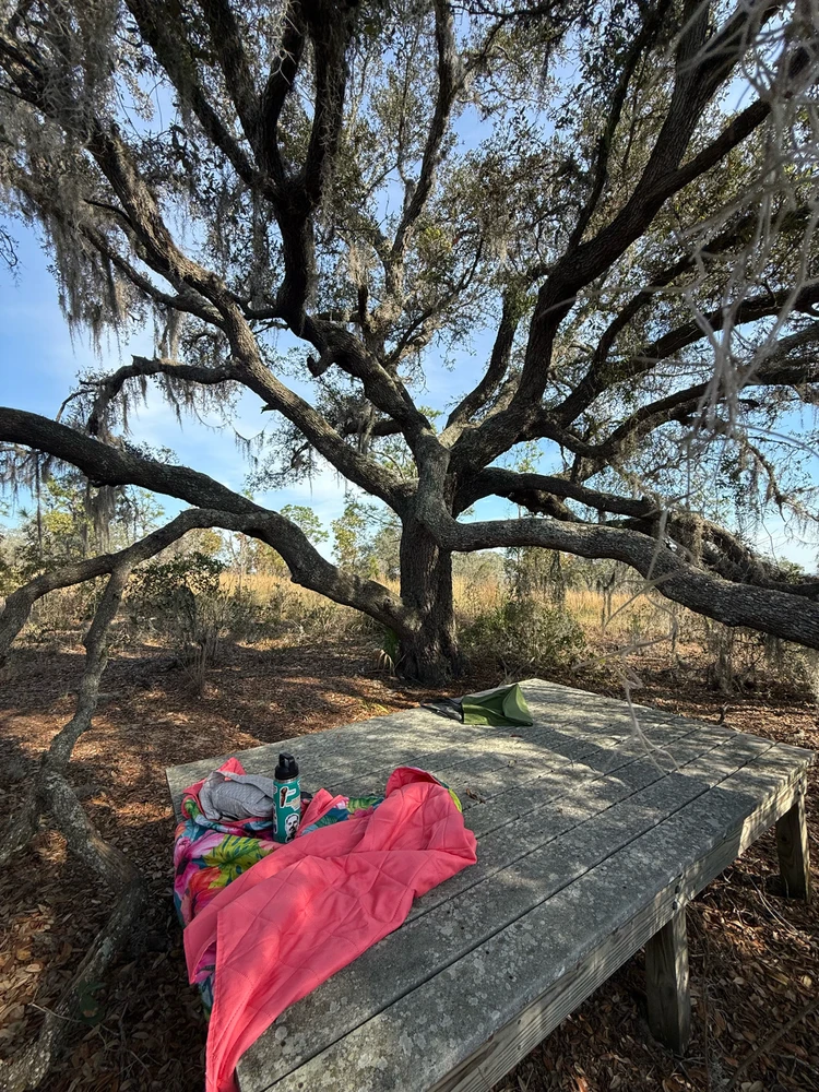 GIF uploaded by Nessa