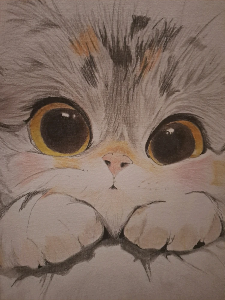 GIF ajouté par Edouard