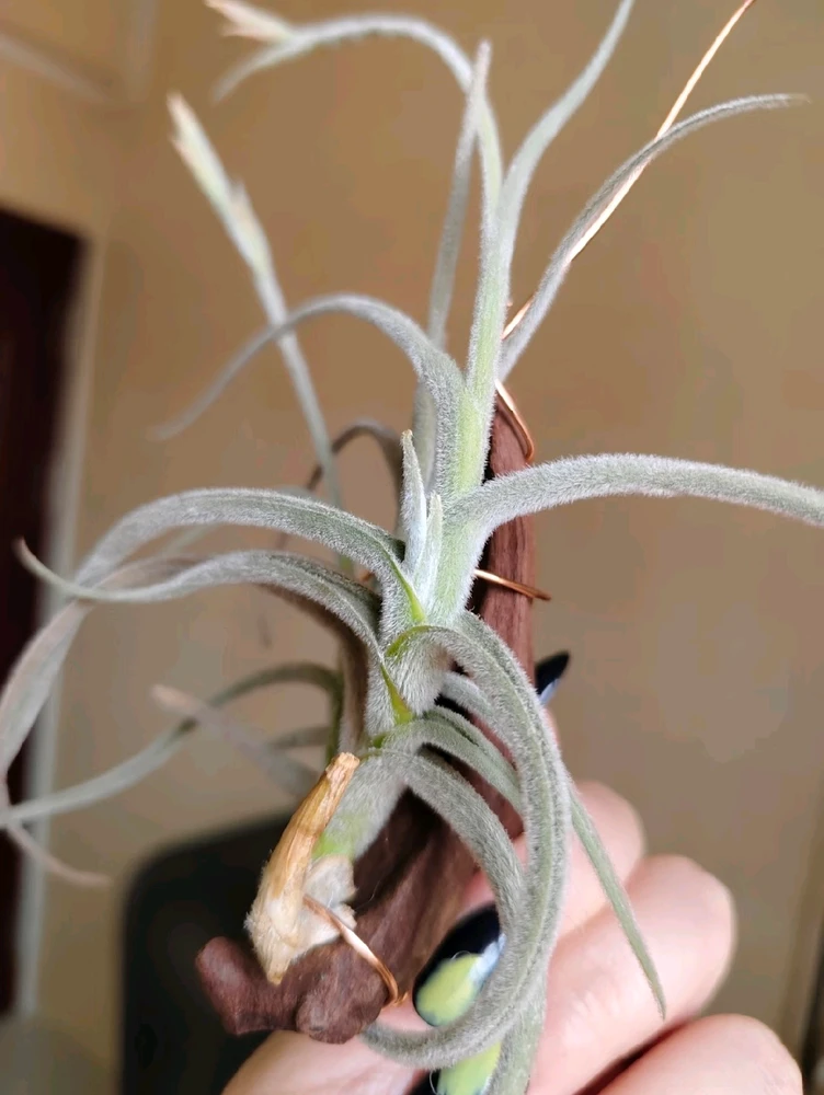 GIF diunggah dening Vicky