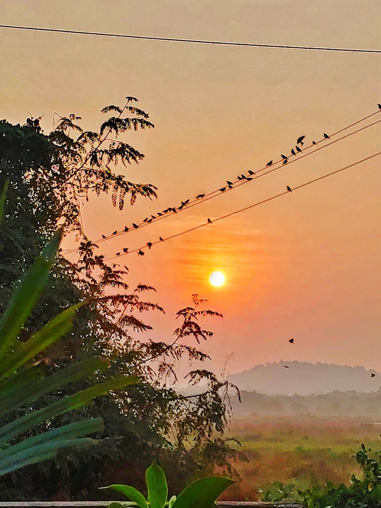 GIF uploaded by Kaleb