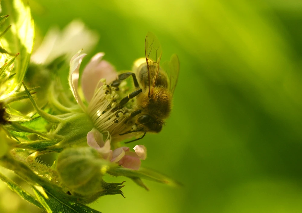 GIF dodany przez Różnooki