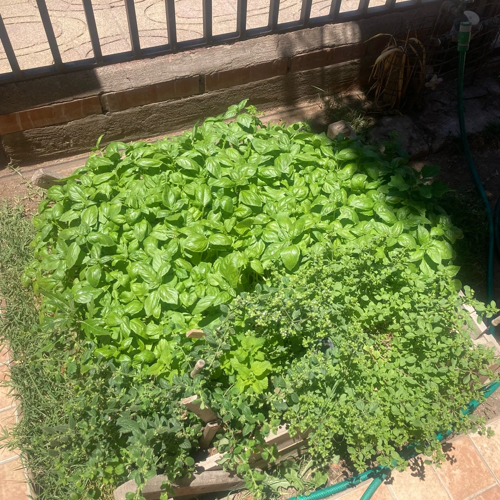 GIF subido por Juan Pablo